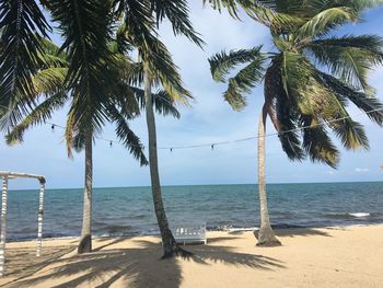 Palm trees on beach against sky