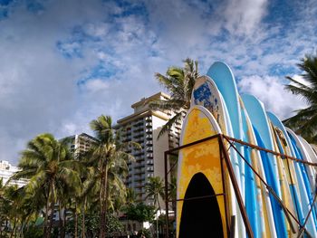 Low angle view of surfboards and palm trees against sky