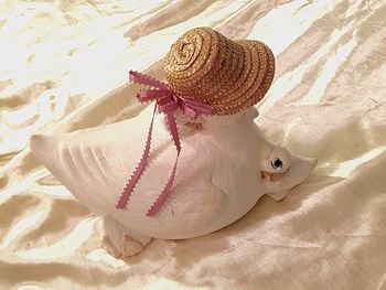 High angle view of lizard on sand