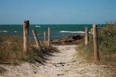 Wooden posts on ocean beach