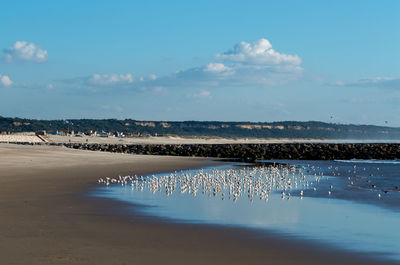 Scenic view of beach against blue sky