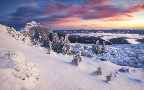 Scenic view of landscape against sky during sunset