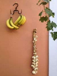 Garlic and bananas hanging on wall