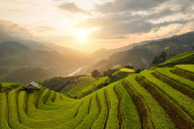 Scenic view of terraced field against sky at sunset