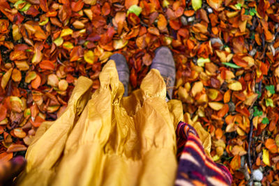 Low section of person standing on autumn leaves