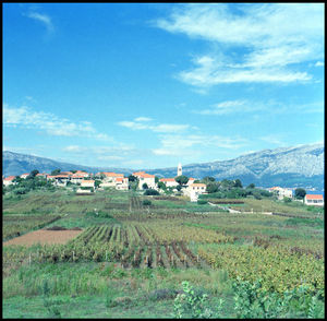 Houses on field against sky