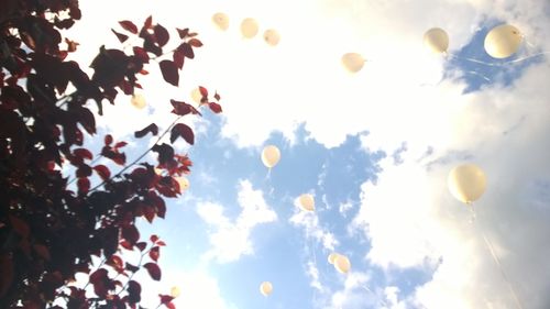 Low angle view of trees against sky