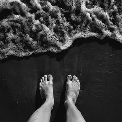 Low section of person standing on shore