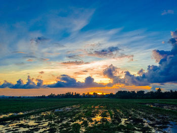 Scenic view of field against sky during sunset