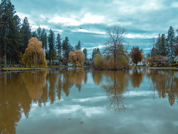 Reflection of trees on lake against sky