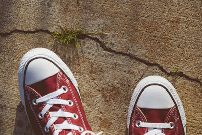 High angle view of shoes on tiled floor