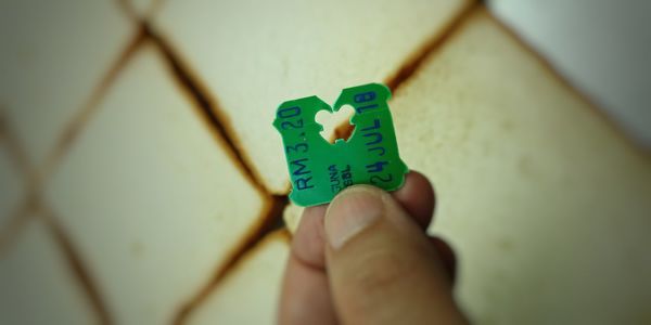 Close-up of hand holding heart shape
