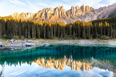 Reflection of trees in lake during winter