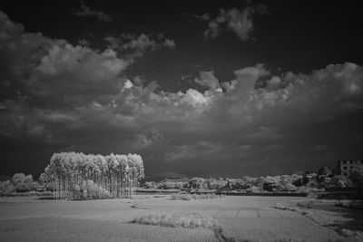 Panoramic view of land and trees against sky