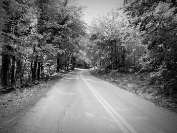 Empty road along trees