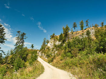 Road amidst trees against blue sky