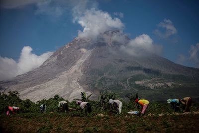 Farmers working on field against mountain