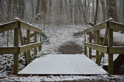 Wooden footbridge in forest