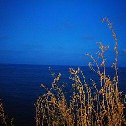 Scenic view of sea against clear blue sky