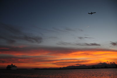 Silhouette birds flying over sea against sky during sunset