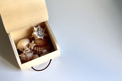 High angle view of food in box against white background