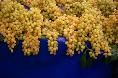 High angle view of blueberries