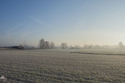 Scenic view of field against sky