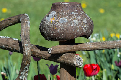 Close-up of rusty metal railing by plants