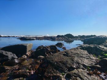 Scenic view of sea against clear blue sky