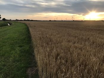 Scenic view of field against sky during sunset
