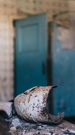 Close-up of food on rock against wall