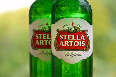 Close-up of beer glass bottle