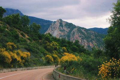 Road amidst trees and mountains against sky