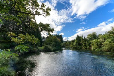 River amidst trees in forest against sky