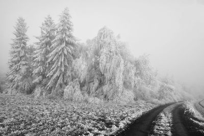 Scenic view of snow covered land against sky