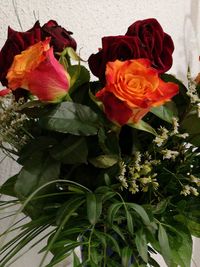 Close-up of flowers blooming outdoors