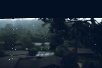 Raindrops on glass window