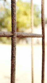 Close-up of chainlink fence