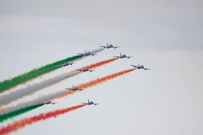 Low angle view of birds flying in sky