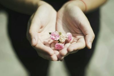 Woman holding pink flowers
