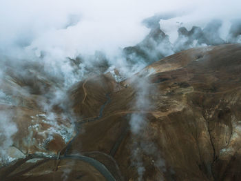 Aerial view of a forest