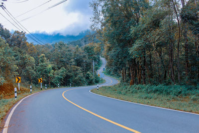 Empty road amidst trees and plants