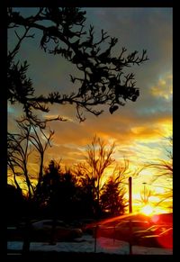 Silhouette trees by sea against sky during sunset