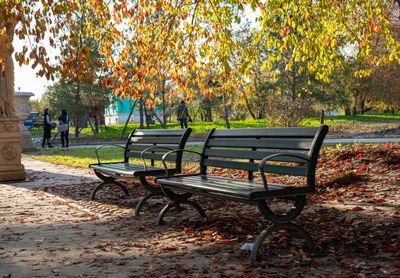 Empty bench in park during autumn