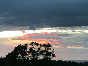 Silhouette tree against sky during sunset