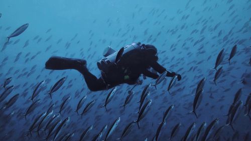 Flying with the fishes