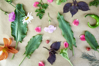 Vegetables - beet, basil, parsley, hot pepper.. italian vegetable recipe. veganism concept food. 