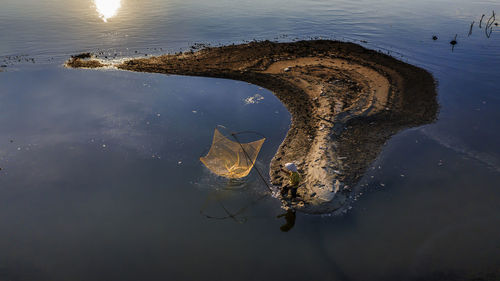 High angle view of turtle in lake