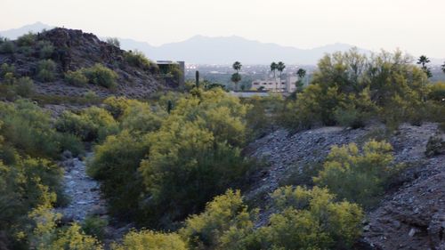 Scenic view of landscape