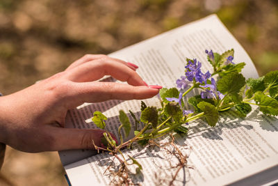 Midsection of person holding paper flower